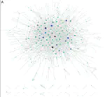 The NSF ADVANCE Network of Organizations